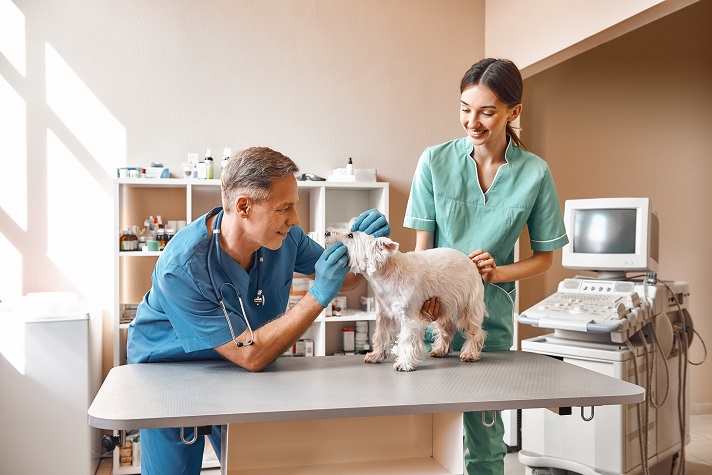 veterinary-compounding-for-pets-with-unique-needs
